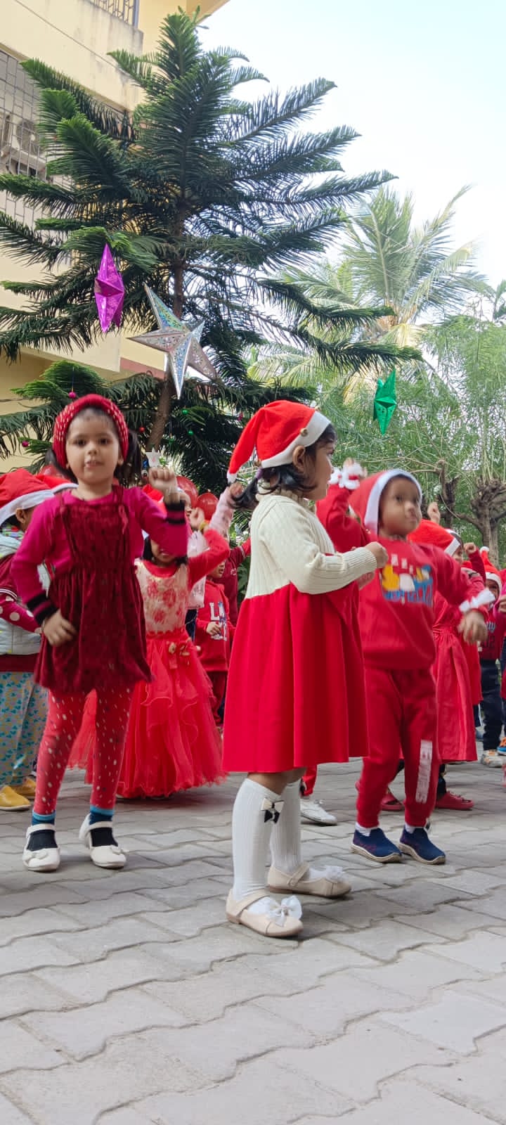 Christmas Celebration