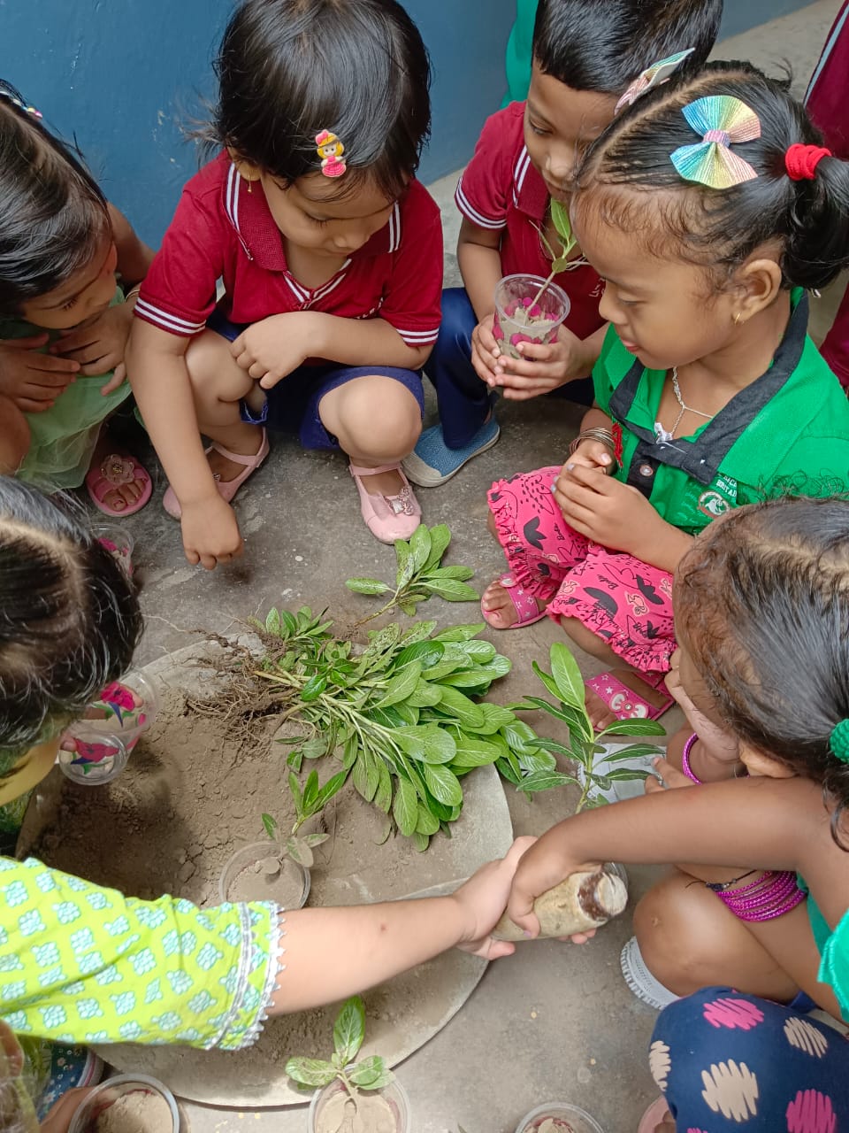 Environment Day